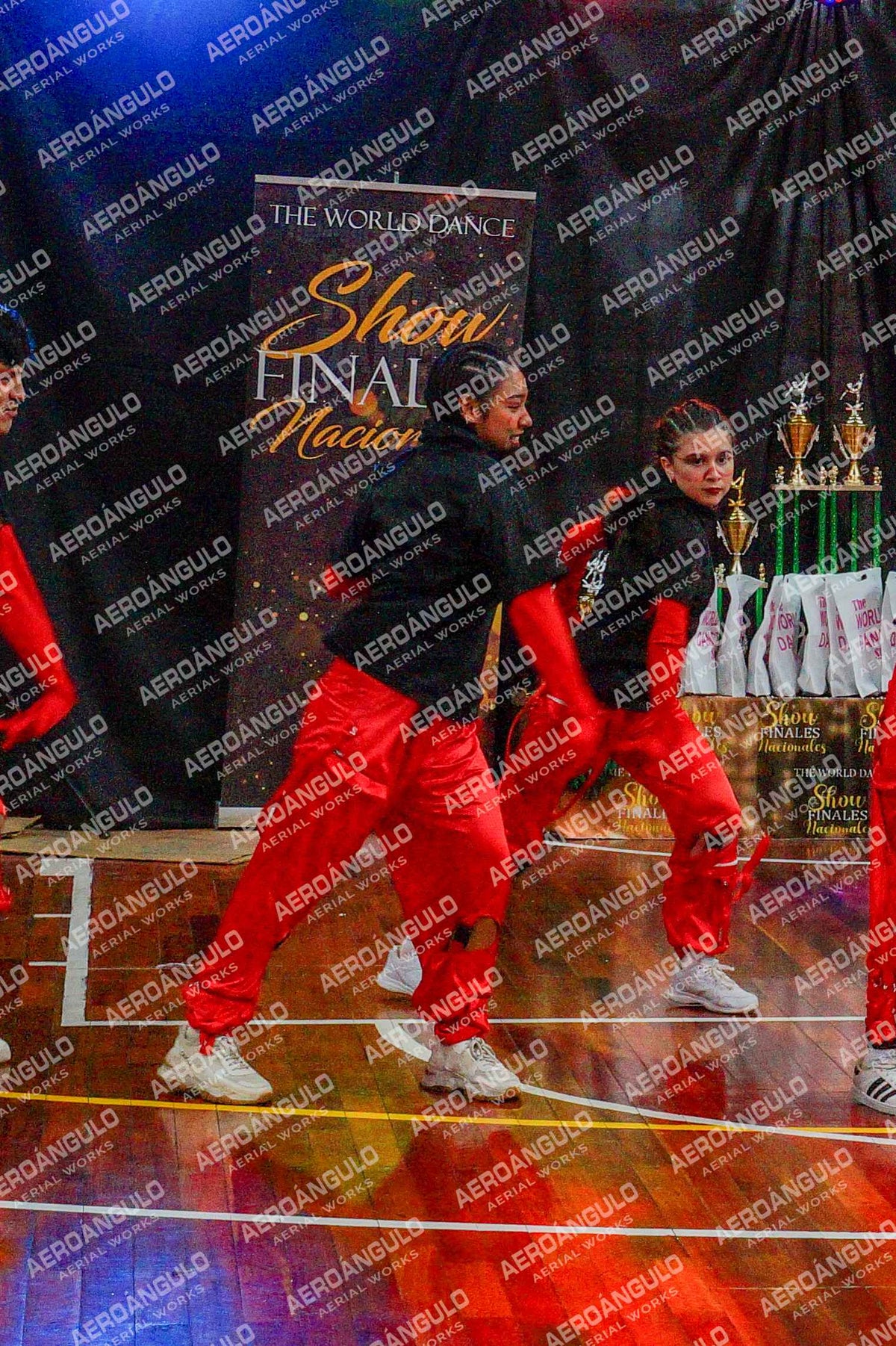 TheWorldDance N°1002