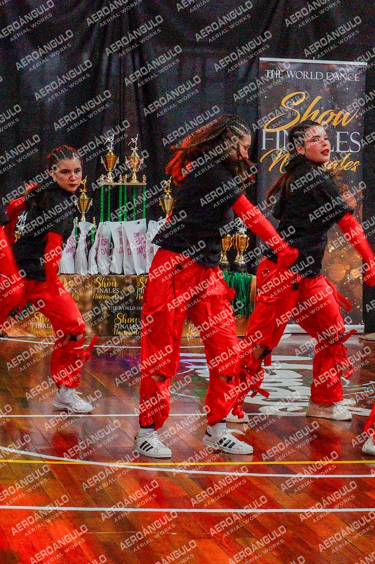 TheWorldDance N°1003