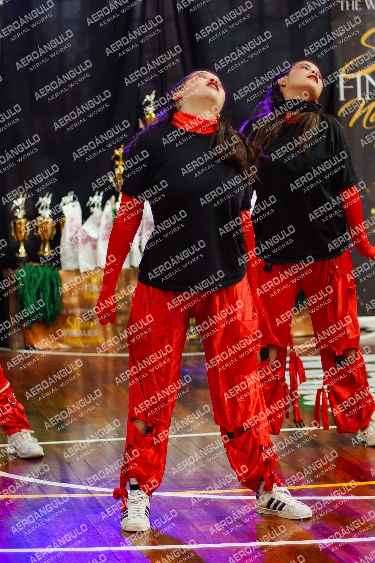 TheWorldDance N°1006