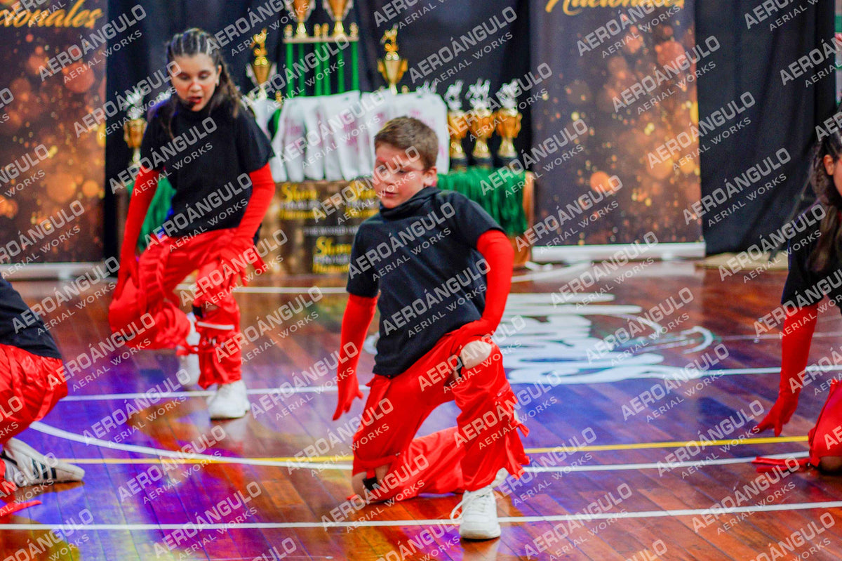 TheWorldDance N°1019