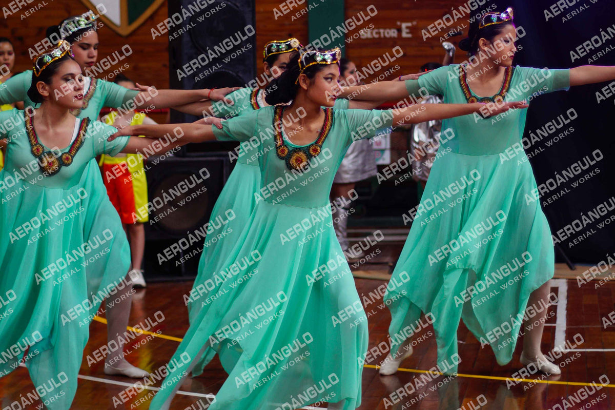 TheWorldDance N°1335