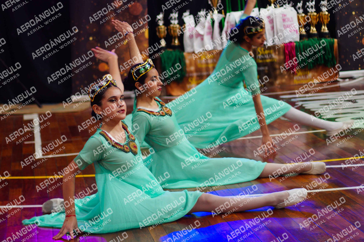 TheWorldDance N°1341