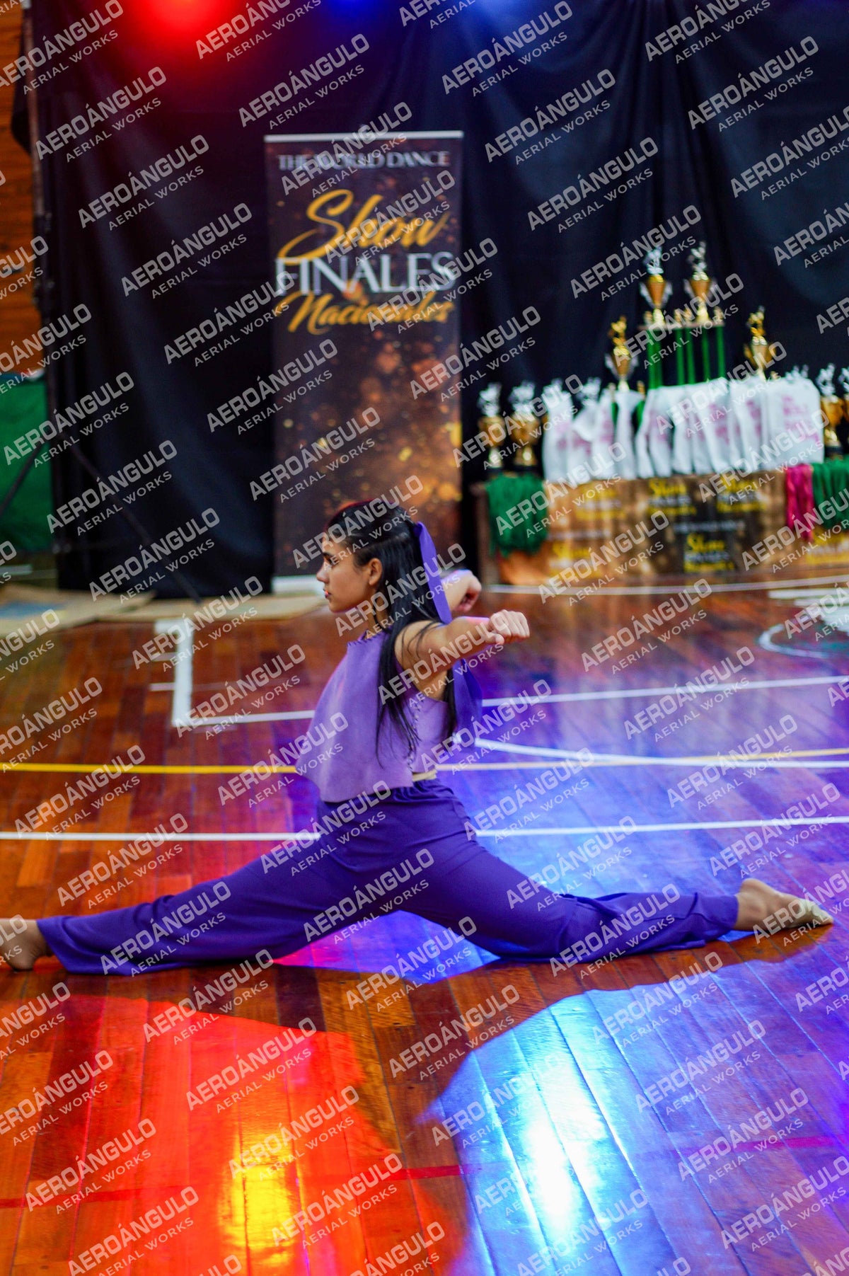 TheWorldDance N°1356