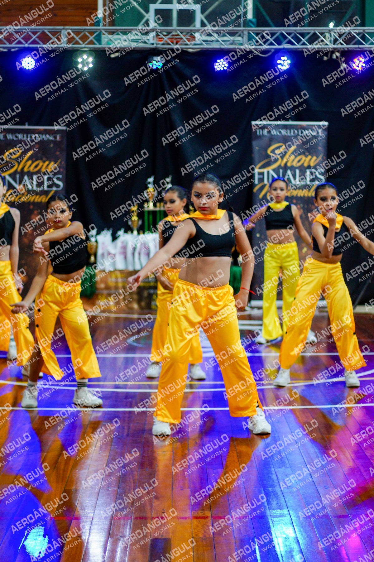 TheWorldDance N°1453