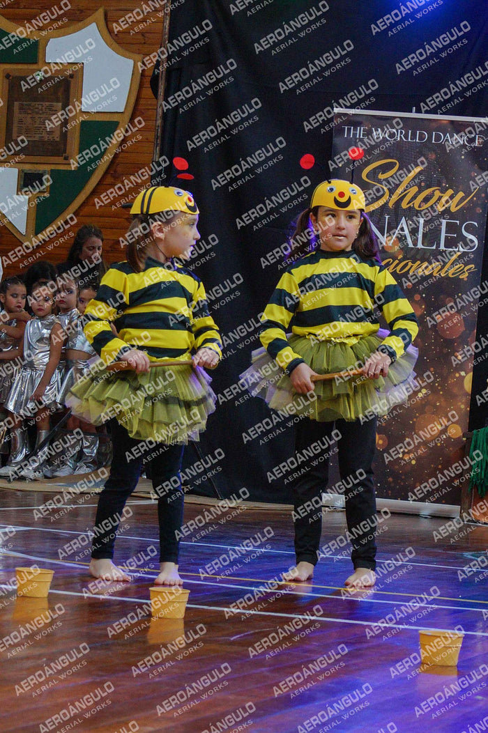 TheWorldDance N°24