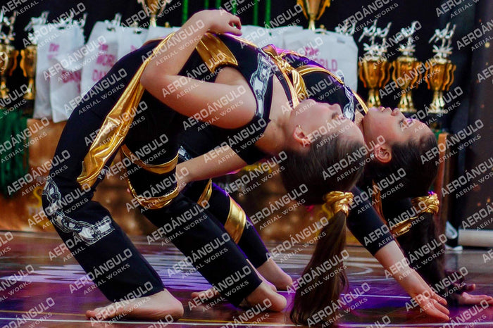 TheWorldDance N°313