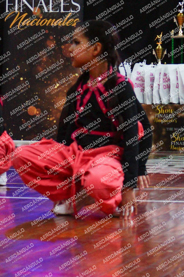TheWorldDance N°384