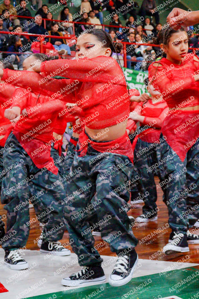TheWorldDance N°476