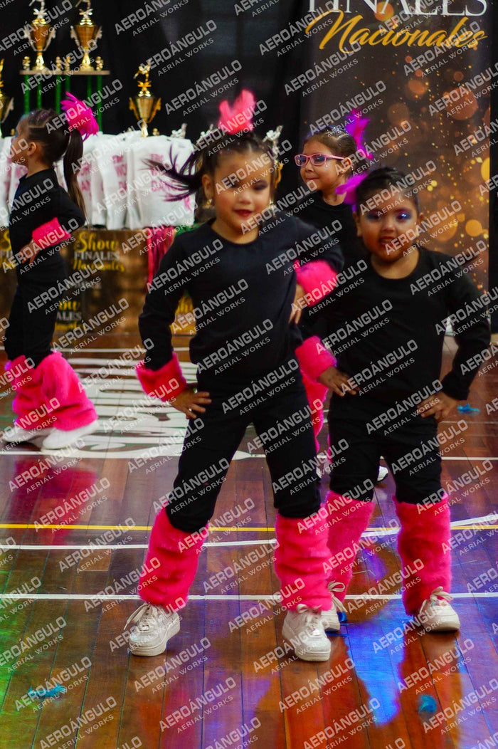 TheWorldDance N°556