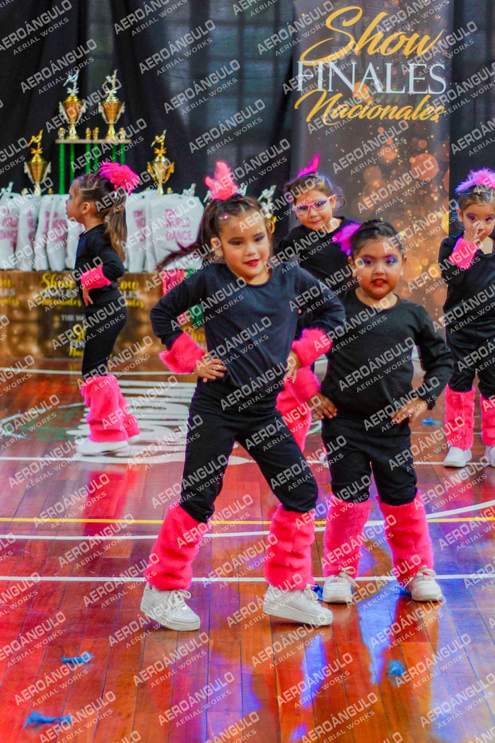 TheWorldDance N°557