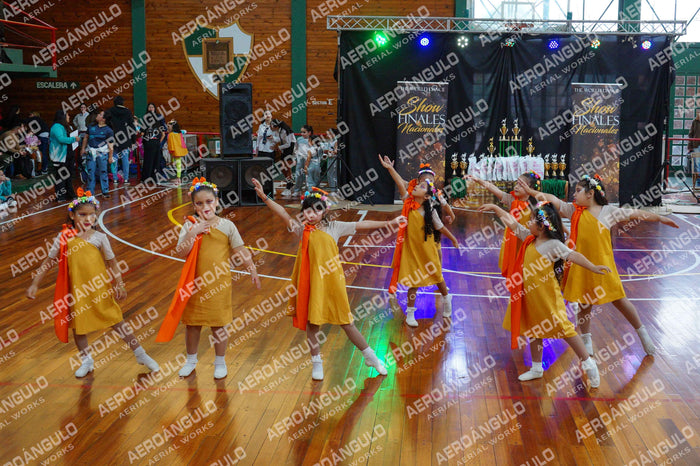 TheWorldDance N°61