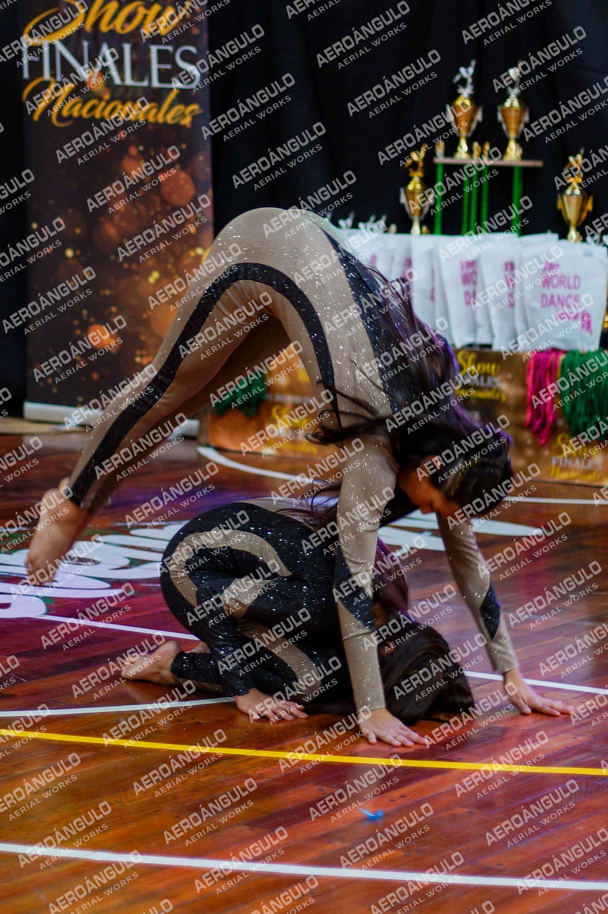 TheWorldDance N°622