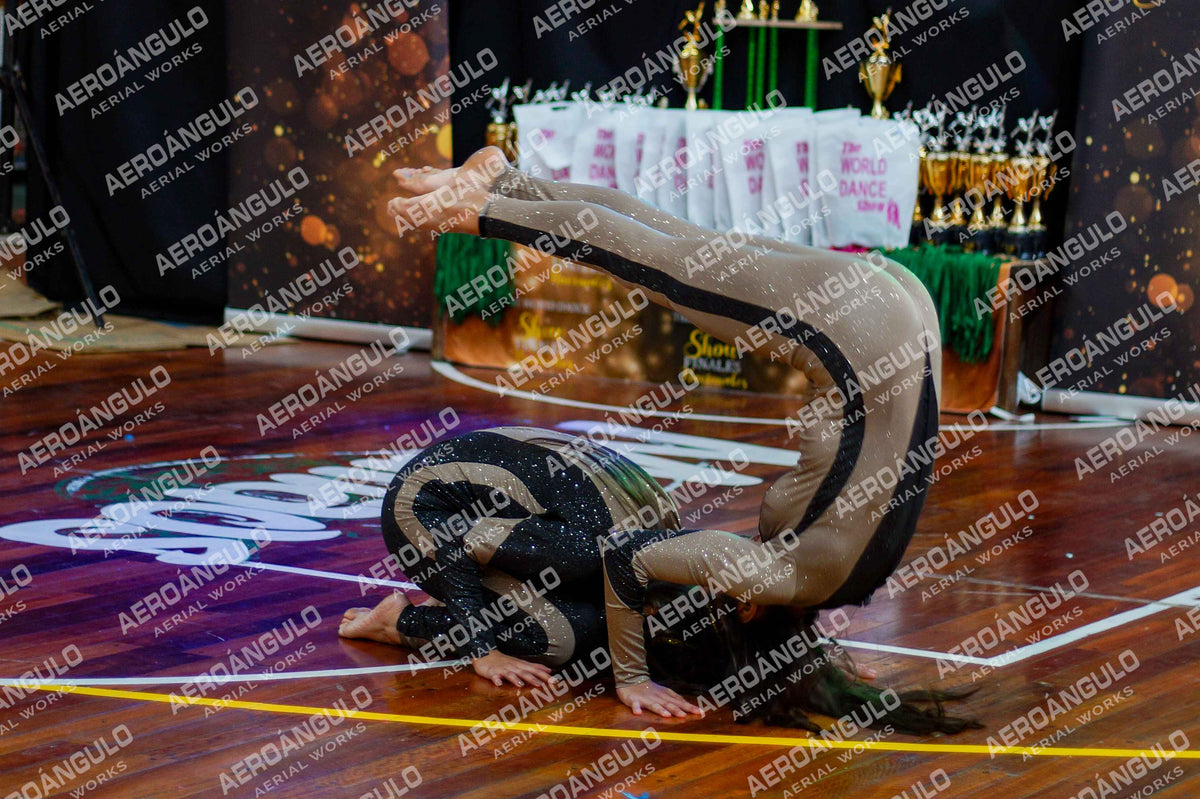 TheWorldDance N°623