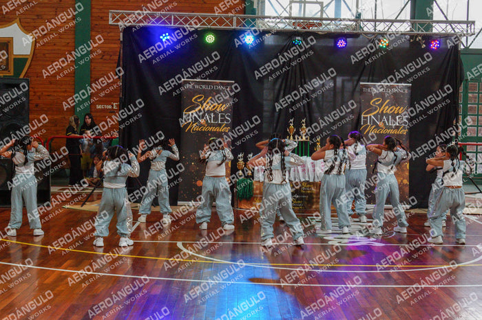 TheWorldDance N°74