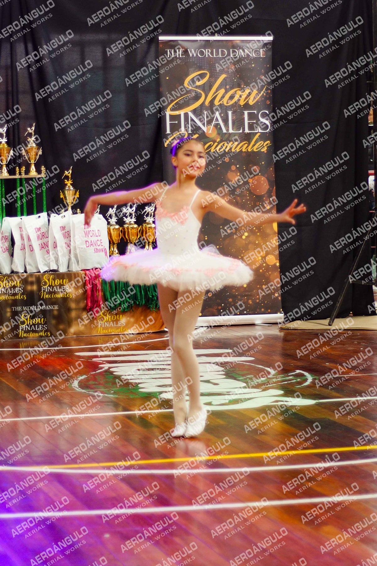 TheWorldDance N°744