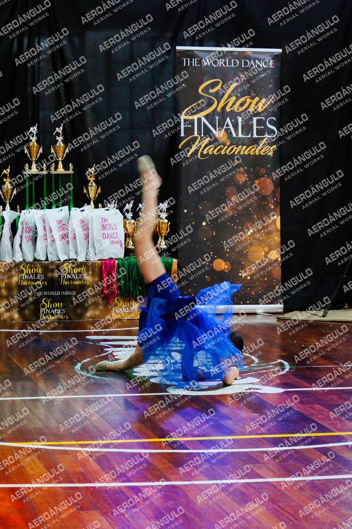 TheWorldDance N°87