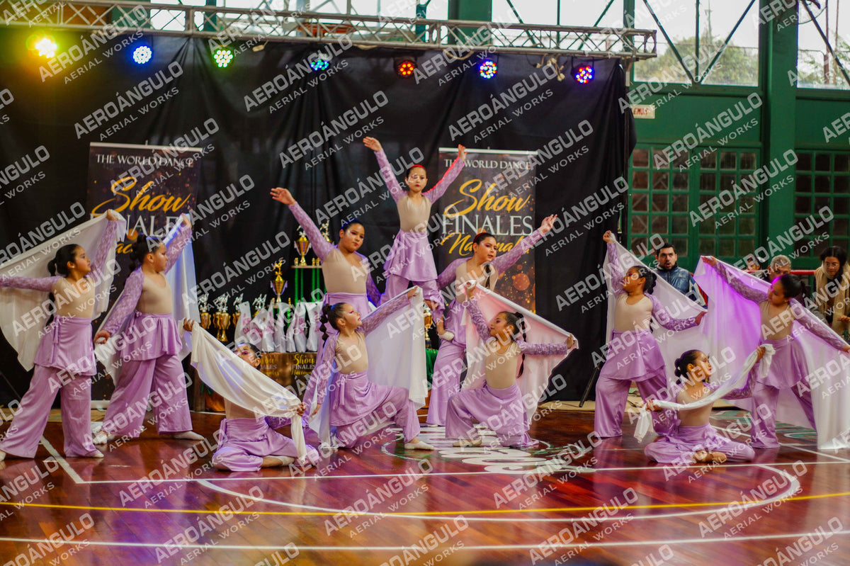 TheWorldDance N°902
