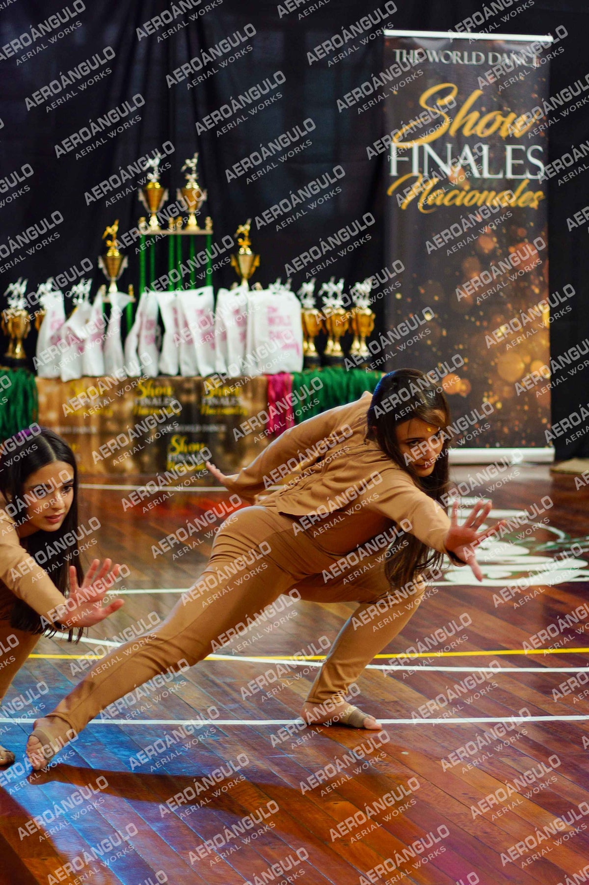 TheWorldDance N°950