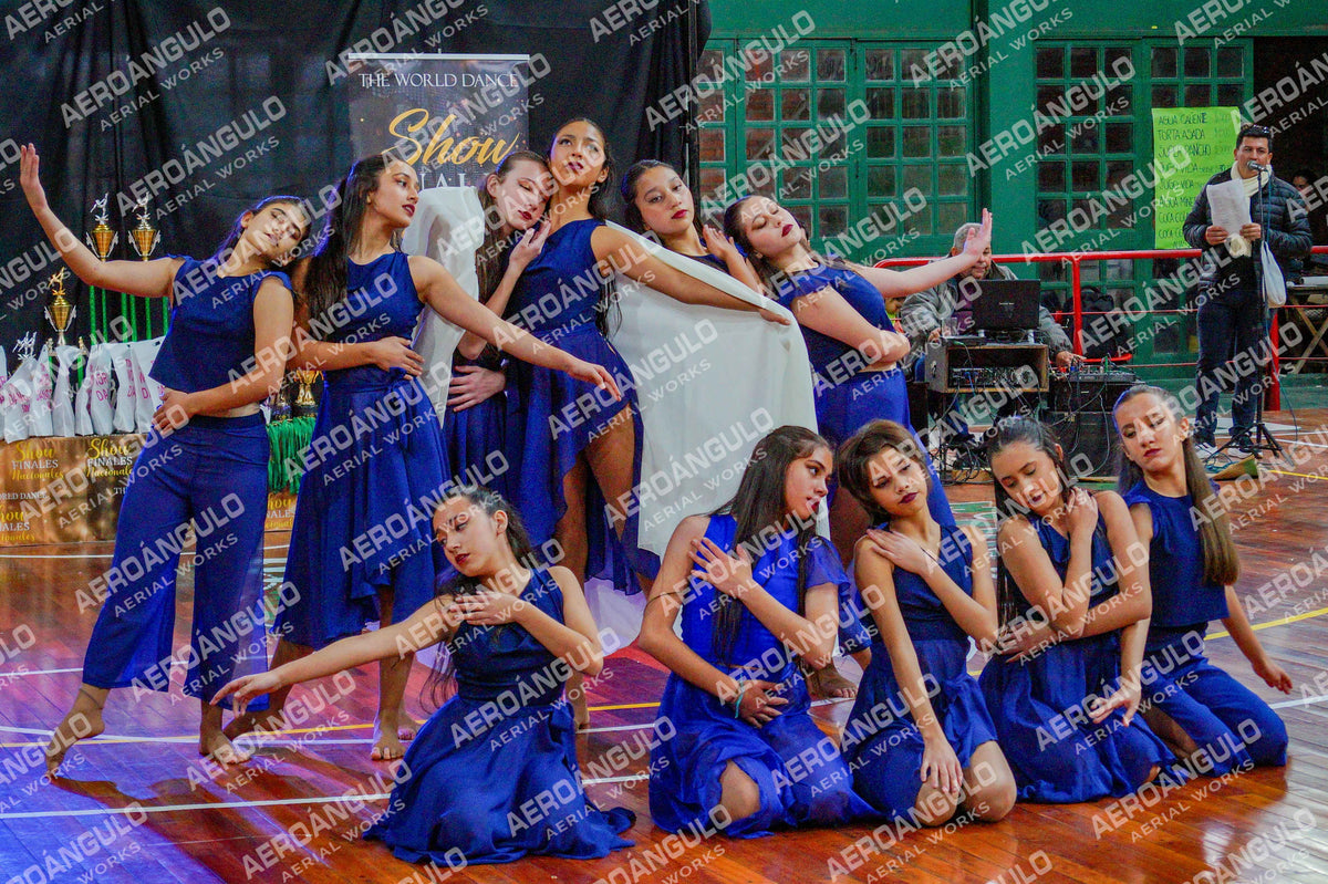 TheWorldDance N°991
